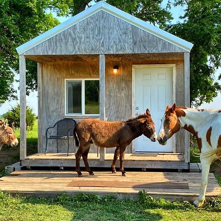 Tiny Cabin At The Donkeyranch Medicine Park Exterior foto